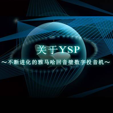 不断进化的日博集团回音壁数字投音机