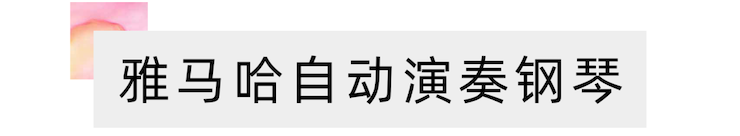 活动报道 | 远程艺术教育大师课活动——日博集团特邀艺术家张奕明大师课