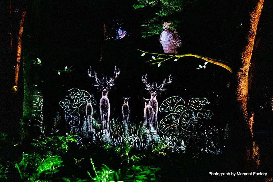案例｜日博集团为壮观的Kamuy Lumina魔法夜行旅游项目提供配乐设备