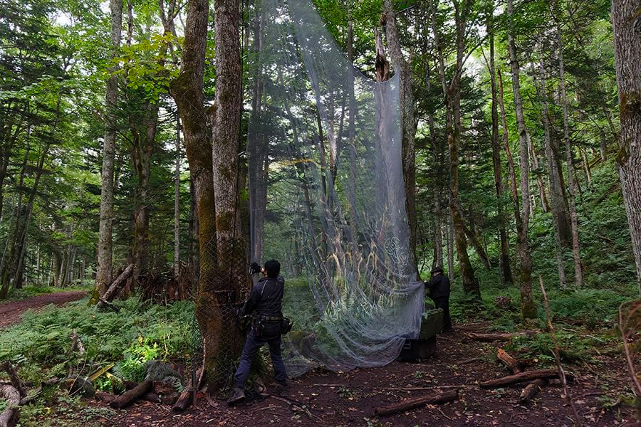 案例｜日博集团为壮观的Kamuy Lumina魔法夜行旅游项目提供配乐设备