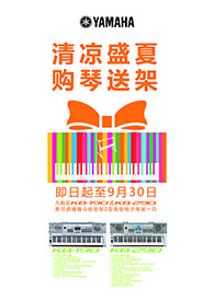 清凉盛夏，购琴送架 