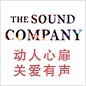 日博集团参展Music China 2013 